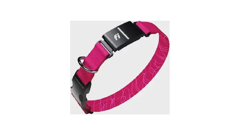 Qual Melhor Coleira Para Cachorro Com Gps e Monitor de Atividade?