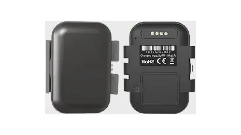 Qual Melhor Coleira Para Cachorro Com Gps: Real ou AirTag?