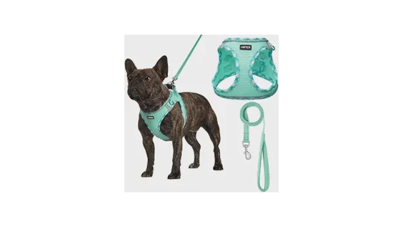 Qual Melhor Coleira Para Cachorro Com Guia e Peitoral Acolchoado? 10 Kits Analisados