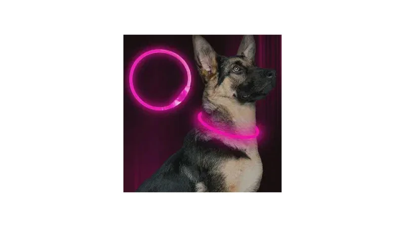 Qual Melhor Coleira para Cachorro com Led: Guia de Segurança