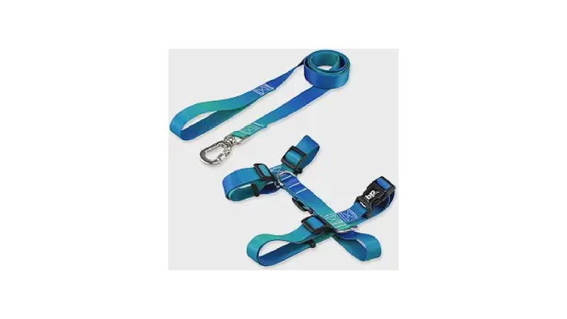 Qual Melhor Coleira Para Cachorro de Porte Pequeno? Peitoral vs. Pescoço