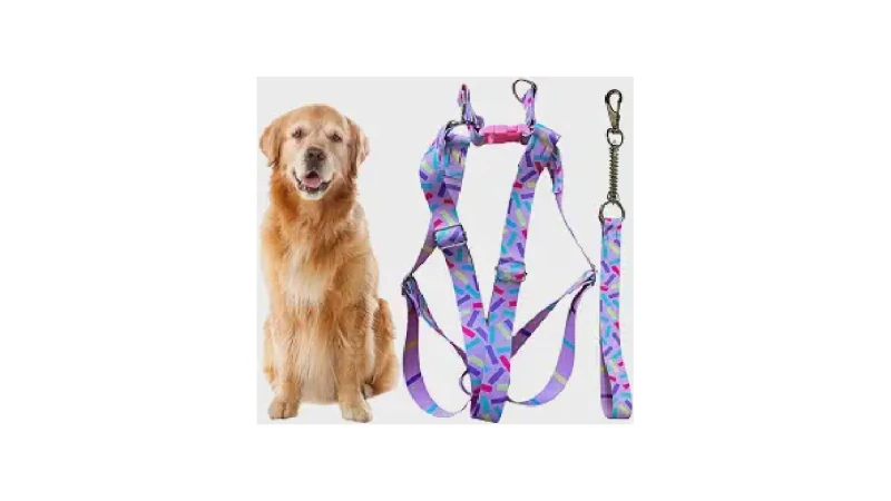 Qual Melhor Coleira Para Cachorro Que Late Muito? Guia de Controle e Adestramento