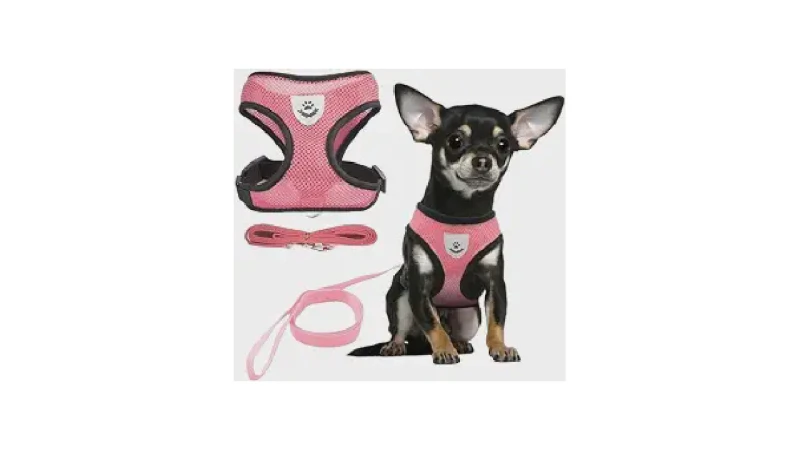 Qual Melhor Coleira Para Cachorro: Peitoral ou Pescoço?