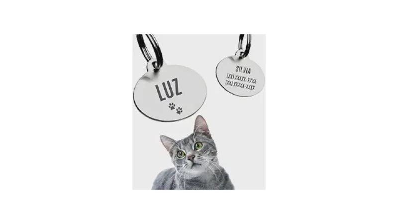 Qual Melhor Coleira Para Gato Com Guizo Segura?