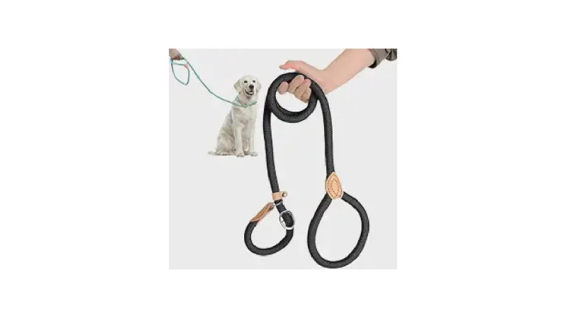 Qual Melhor Coleira para Passeio com Guia Unificada?