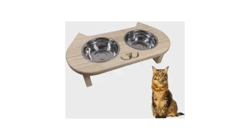 Qual Melhor Comedouro Elevado para Gato: O Guia