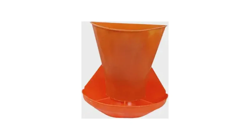 Qual Melhor Comedouro Para Porco? Do Leitão ao Adulto