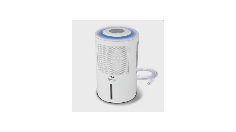 Qual Melhor Desumidificador Para Acabar Com o Mofo?