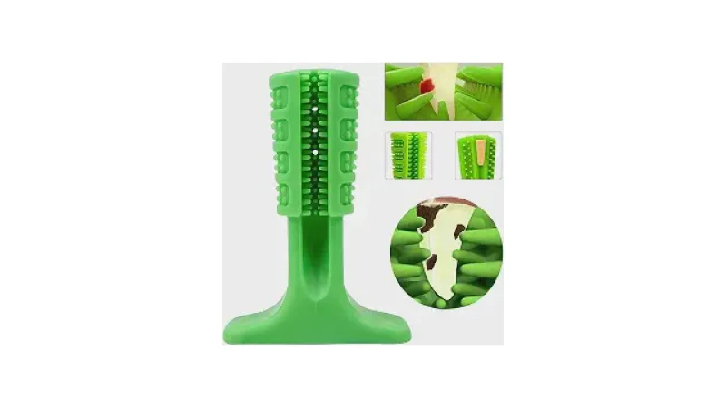 Qual Melhor Escova de Dente Para Cachorro de Porte Pequeno? Guia Completo