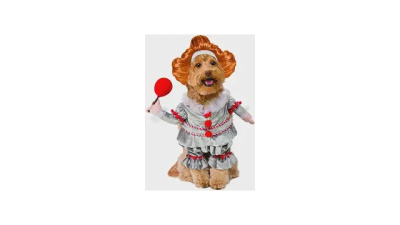 Qual Melhor Fantasia de Halloween para Cachorro? 10 Ideias Criativas!