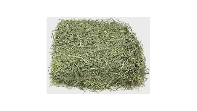 Qual Melhor Feno de Alfafa? Um Guia Para Comprar