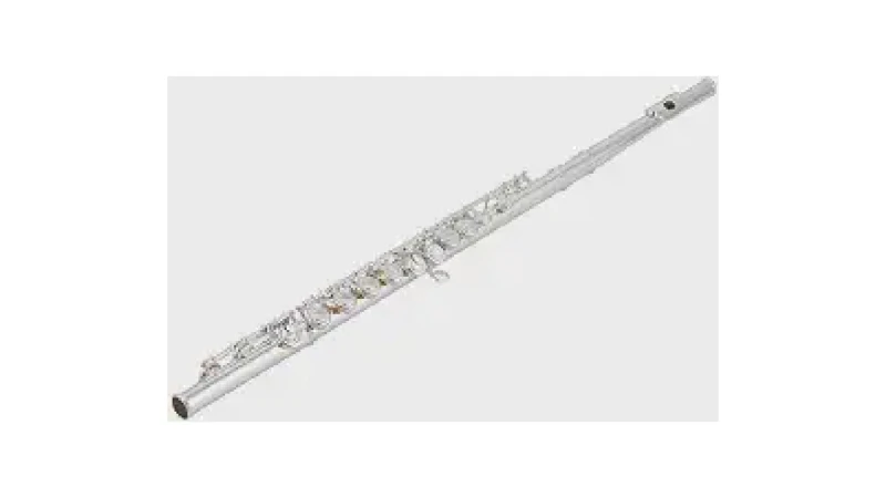 Qual Melhor Flauta Transversal Para Aprender a Tocar