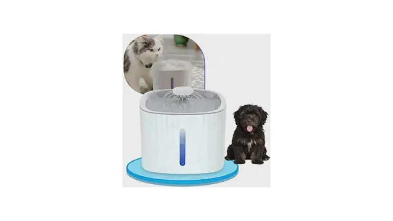 Qual Melhor Fonte Para Gatos com Filtro: Análise de 10