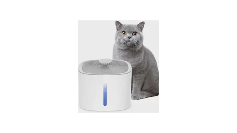 Qual Melhor Fonte Para Gatos com Filtro e Luz Noturna: Modelos com LED