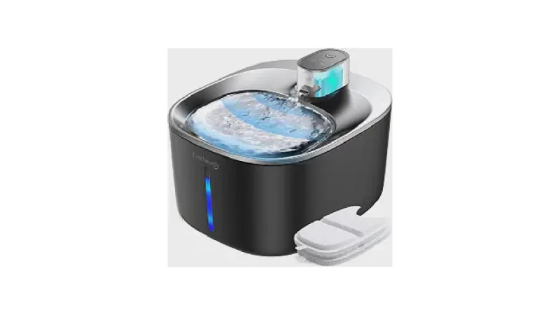 Qual Melhor Fonte Para Gatos com Sensor de Movimento?