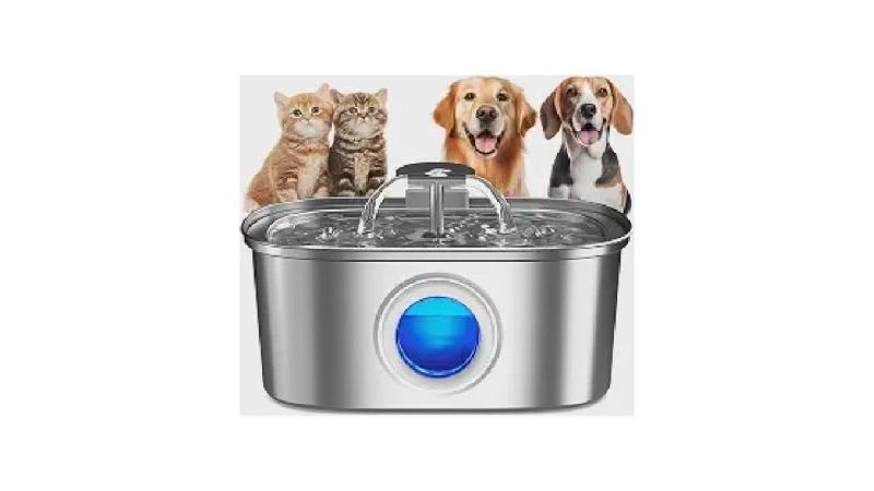 Qual Melhor Fonte Para Gatos com Vários Níveis de Água? As 10 Opções Mais Higiênicas