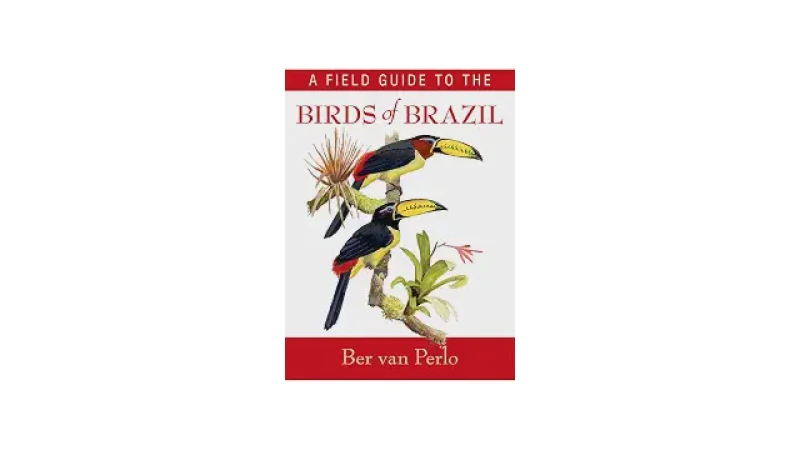 Qual Melhor Guia de Identificação de Aves do Brasil Para Cada Nível