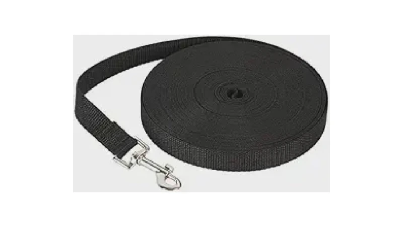 Qual Melhor Guia Longa Para Treinamento de Cães: Nylon ou À Prova D'água?