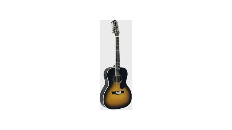 Qual Melhor Guitarra de 12 Cordas Para Um Som Rico?