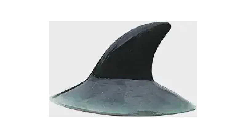 Qual Melhor Lago Para Patos e Gansos: Crie o Seu