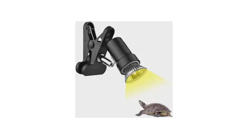 Qual Melhor Lâmpada UVB Para Réptil? Guia Completo