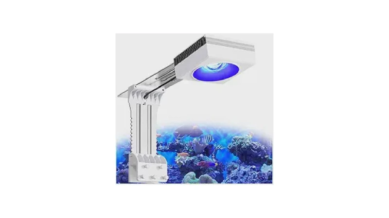 Qual Melhor Luminária Para Coral SPS e LPS?
