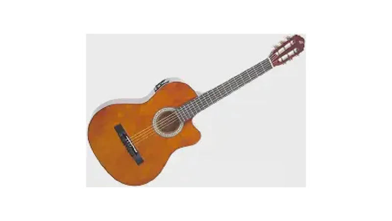 Qual Melhor Marca de Violao Eletrico e Preços?