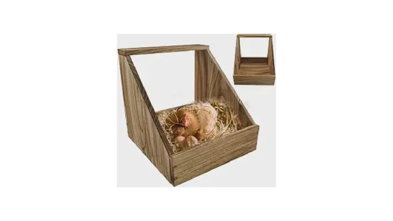 Qual Melhor Ninho Para Galinha? Guia de Ovos Limpos