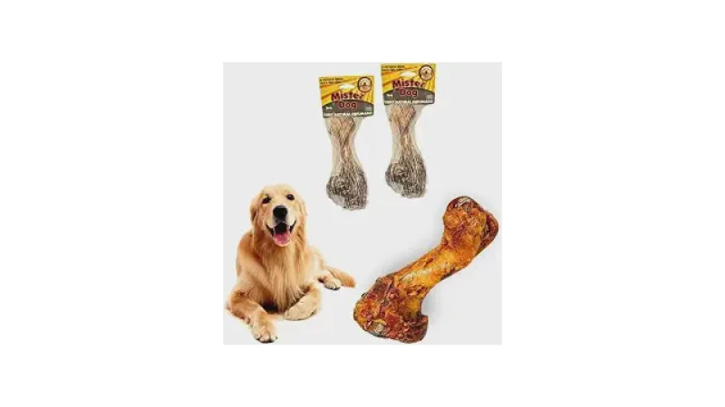 Qual Melhor Osso Para Cachorro Roer? Guia Seguro