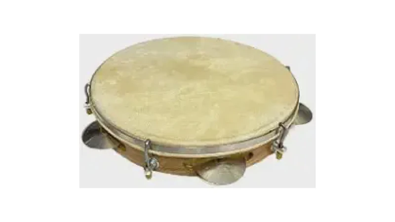 Qual Melhor Pandeiro de Couro? Guia de Timbre e Peso