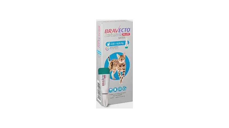 Qual Melhor Pipeta Antpulgas para Gatos: O Guia