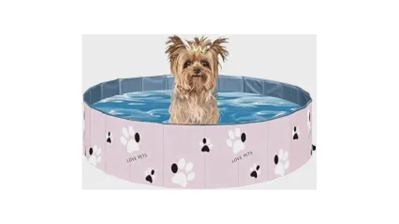 Qual Melhor Piscina Para Cachorro? 10 Modelos Top