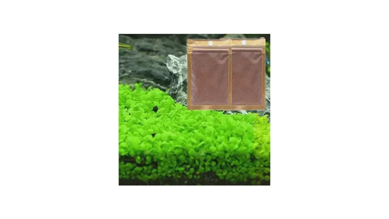 Qual Melhor Planta Para Aquário Low Tech: 5 Opções Fáceis