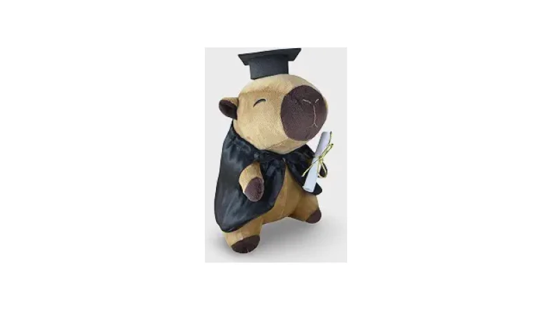 Qual Melhor Presente de Formatura Para Surpreender?