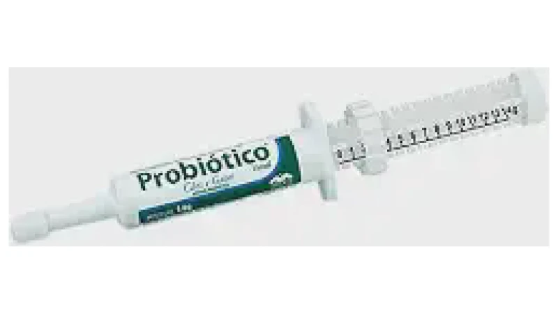 Qual Melhor Probiotico Pet: Pasta, Pó ou Comprimido?