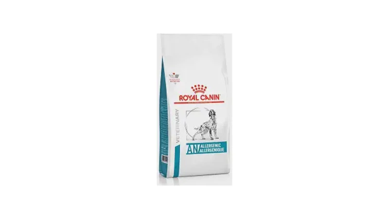 Qual Melhor Racao Para Cao Com Alergia de Pele?