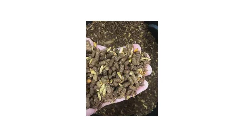 Qual Melhor Ração Para Cavalo de Corrida Para Energia?