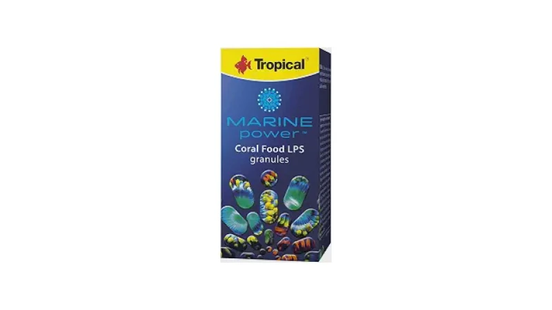 Qual Melhor Ração Para Coral: Guia Para LPS e Moles