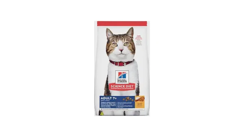 Qual Melhor Racao Para Gato Idoso? Foco na Saúde Renal