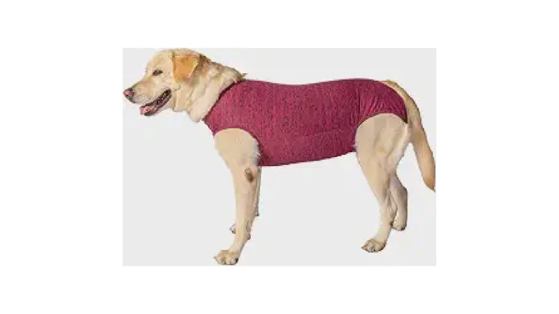 Qual Melhor Roupa Cirúrgica Para Pet Para Cães e Gatos