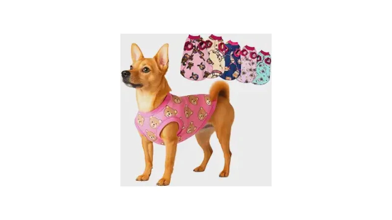 Qual Melhor Roupa de Frio para Cachorro: Soft ou Tricot?
