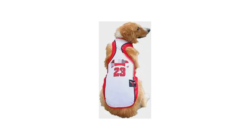 Qual Melhor Roupinha de Time para Cachorro de Futebol?