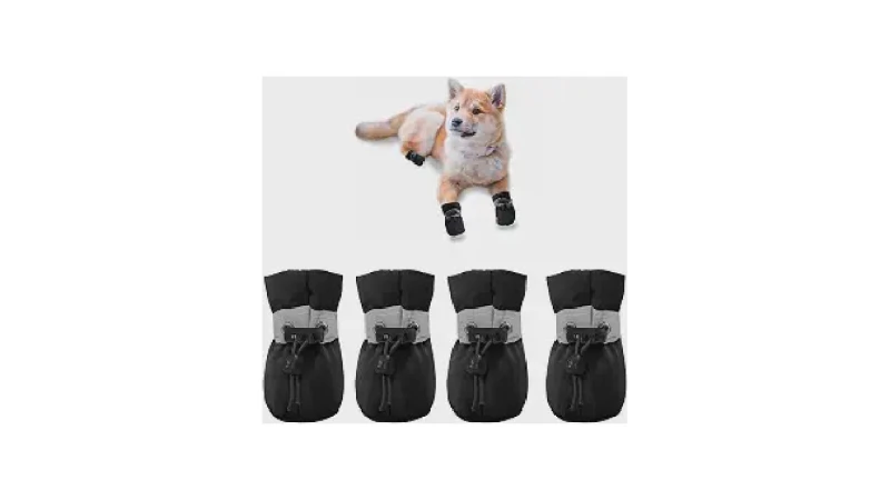 Qual Melhor Sapatinho Para Cachorro Para Proteger As Patas do Asfalto Quente e Frio