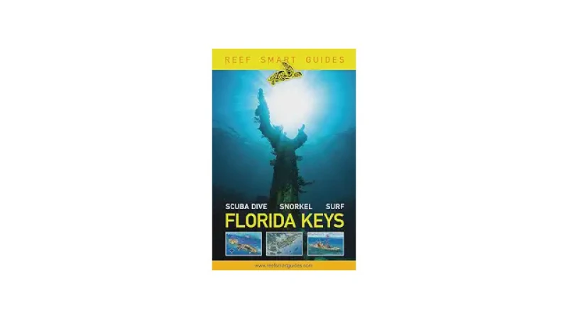 Qual Melhor Snorkel para Mergulho Livre? O Ideal