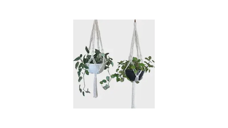 Qual Melhor Suporte de Plantas de Macramê? Guia com 10 Opções