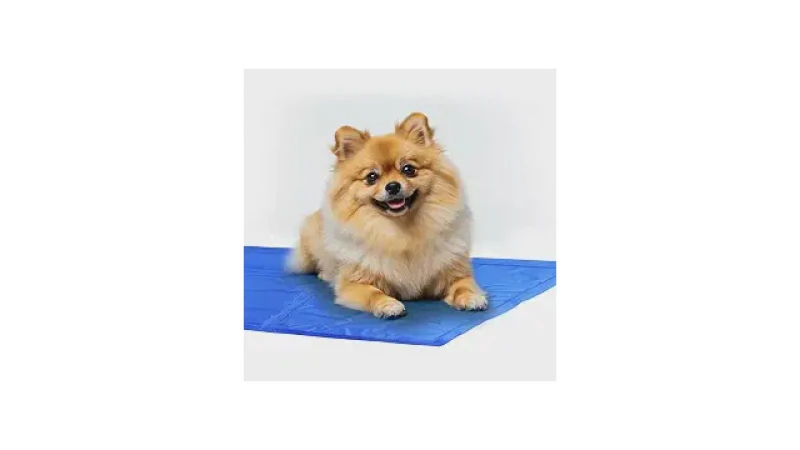 Qual Melhor Tapete Gelado Para Cachorro: 10 Analisados