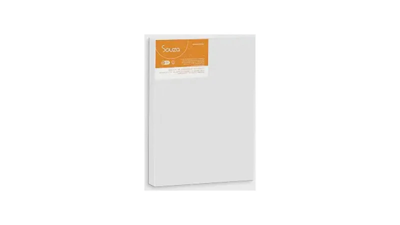 Qual Melhor Tela para Pintura? Do Algodão ao Painel