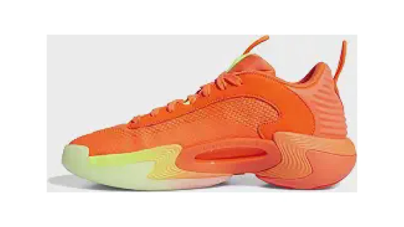 Qual Melhor Tenis de Basquete Feminino Para Tração?