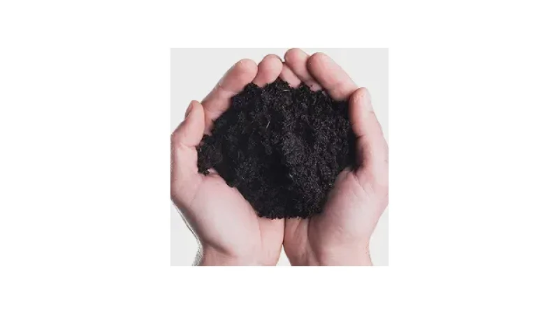 Qual Melhor Terra Para Plantio? Para Vasos e Hortas!