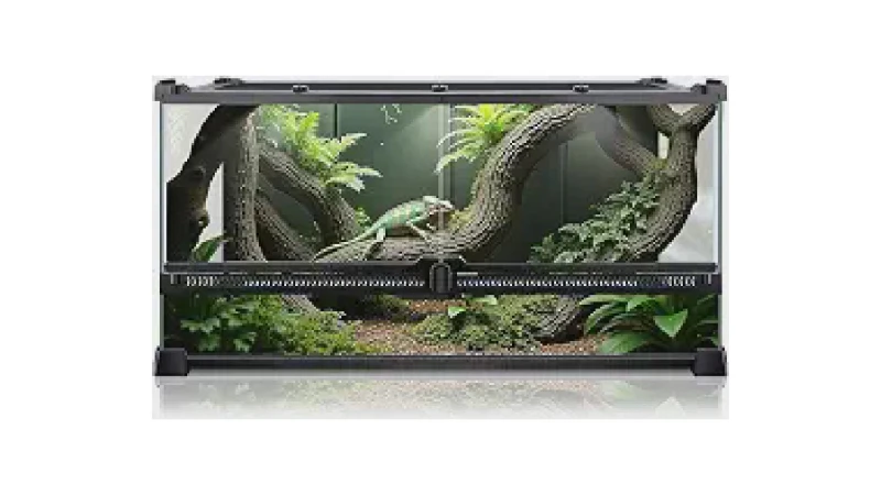 Qual Melhor Terrário Para Cobra: 6 Opções Top
